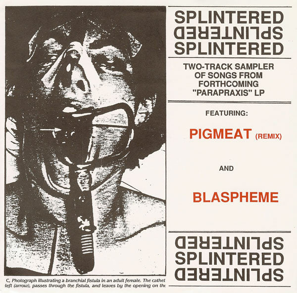 Splintered : Pigmeat (Remix) (7", Ltd, Num)