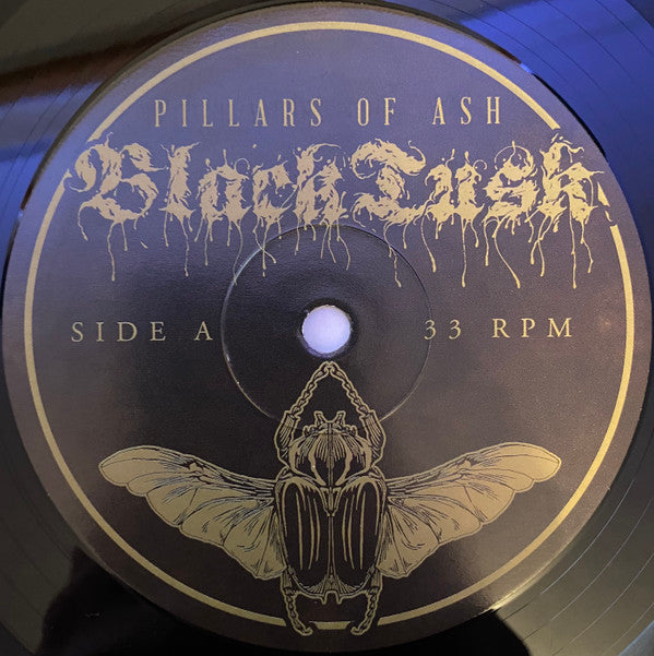 Black Tusk : Pillars Of Ash (LP, Album)