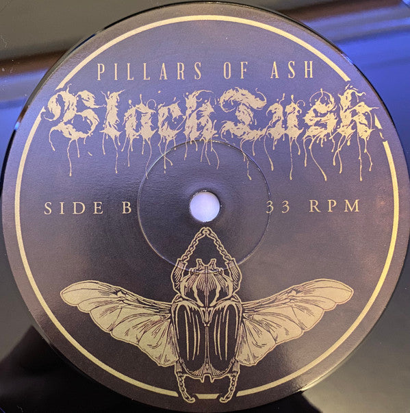 Black Tusk : Pillars Of Ash (LP, Album)