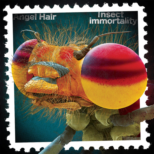 Angel Hair - "Insect Immortality" LP (Half-Baked Halo)