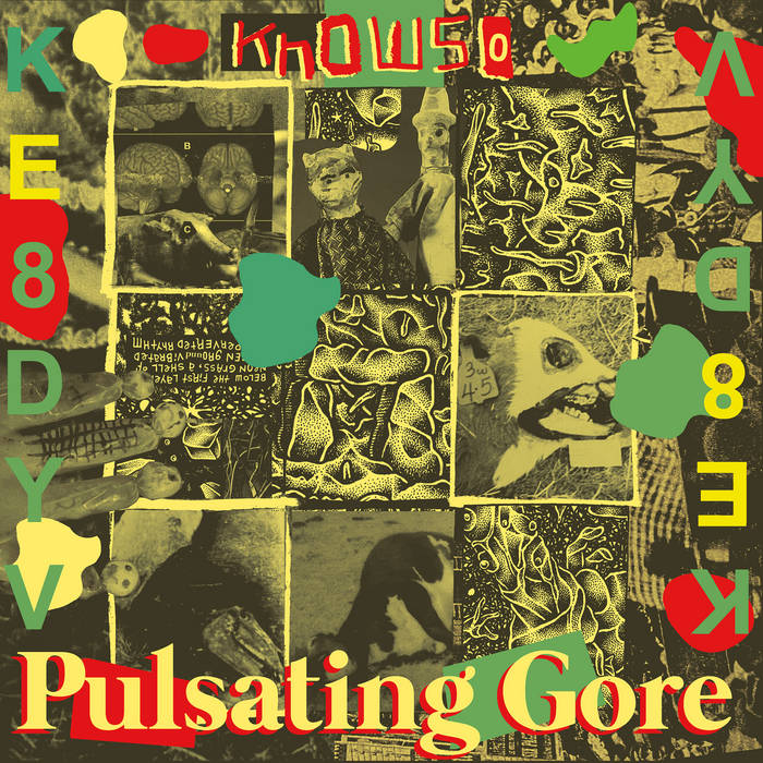 Knowso - "Pulsating Gore" 12-Inch